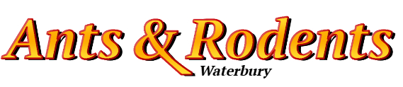 Waterbury Ant Exterminator & Rodent Control Company Logo